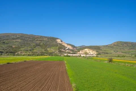 Summer landscape with green fields Stock Photos