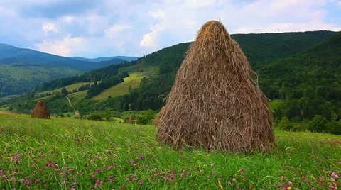 Summer landscape with hut Stock Footage 11959703