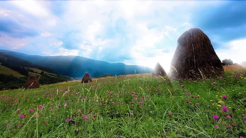 Summer landscape with hut Stock Footage 80411352