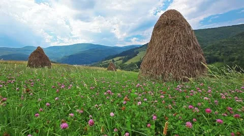 Summer landscape with hut. timelapse Stock Footage 11888149