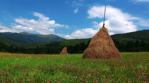 Summer landscape with hut. timelapse Stock Footage 11894156