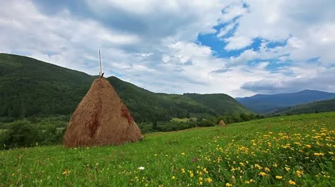 Summer landscape with hut. timelapse Stock Footage 11895353