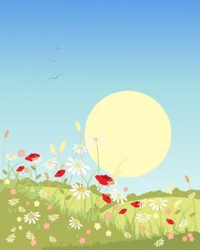 Summer landscape Stock Illustration