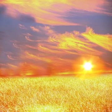 Summer landscape Stock Illustration