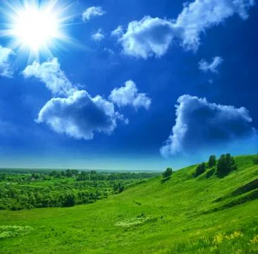 Summer landscape Illustrazione stock