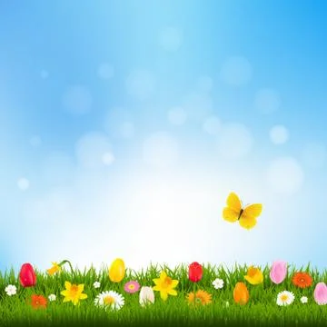 Summer Landscape Stock Illustration