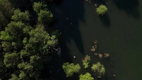 Summer landscape, islands on the river Stock Footage 156257686