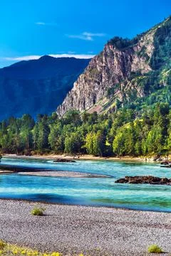 Summer landscape with Katun river. Chemal, Gorny Altai, Siberia, Russia Stock Photos