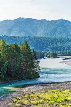 Summer landscape with Katun river. Chemal, Gorny Altai, Siberia, Russia Stock Photos