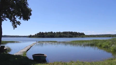 Summer landscape with a lake Stock Footage 91242955