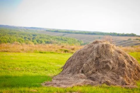 Summer landscape with a large haystack in the foreground Stock Photos