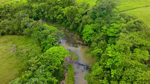 Summer landscape of a long winding river in a national preserve. Stock-Footage 341159709