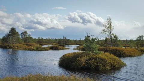 A summer landscape of a marshy area with small islands Stock Footage 220565739