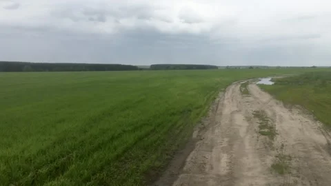Summer landscape with meadow, forest, road and clouds Stock Footage 299735882