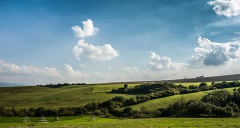 Summer landscape - meadow Stock Photos