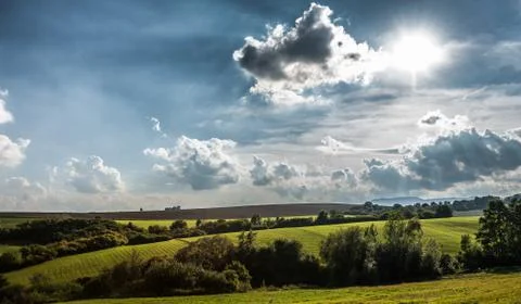 Summer landscape - meadow Stock Photos