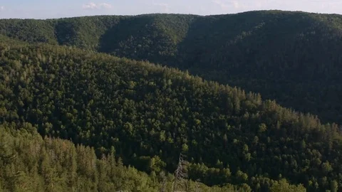 Summer landscape mountain forest Stock Footage 72587988