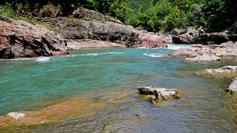 Summer landscape with mountain river Stock Footage