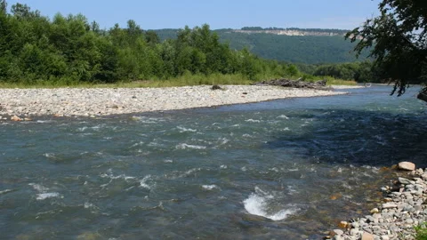 Summer landscape with mountain river Stock Footage 93776233
