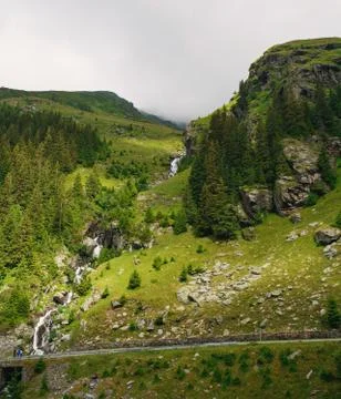 Summer landscape. Mountain stream. Stock Photos