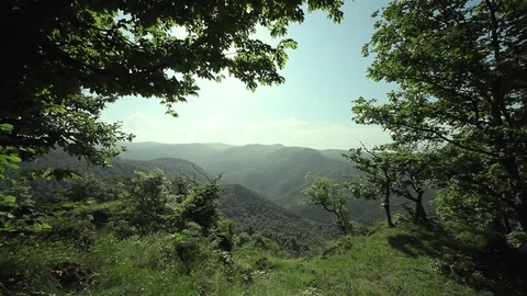 Summer landscape in mountains Stock Footage 78205987