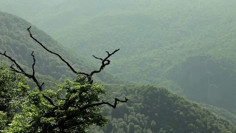 Summer landscape in mountains Stockbeeldmateriaal 78206016