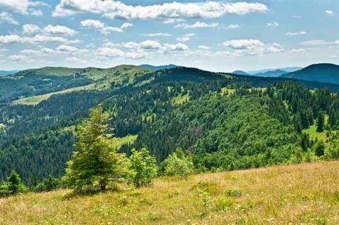 Summer landscape in mountains Stock Photos