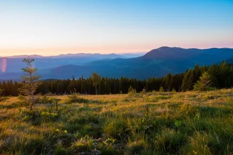 Summer landscape mountains Stock Photos