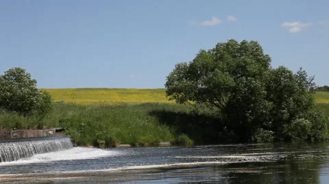 Summer landscape, natural background Stock Footage 51522636