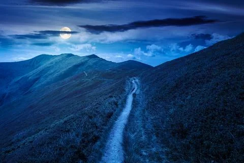 Summer landscape at night Stockfoto's