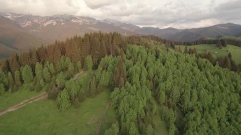 Summer Landscape Over Green Forests in the Carpathian Mountains Stock Footage 312404236