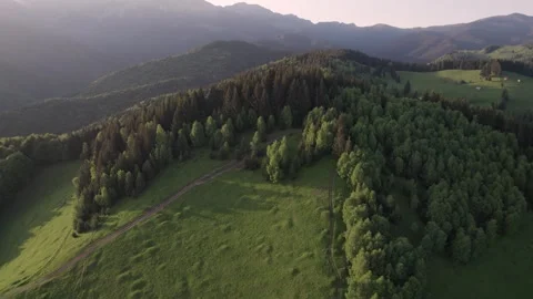 Summer Landscape Over Green Forests in the Carpathian Mountains Stock Footage 312404245