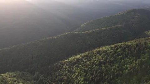 Summer Landscape Over Green Forests in the Carpathian Mountains Stock Footage 312404246