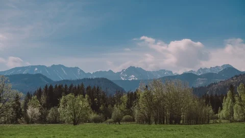 Summer landscape paeceful valley trees in the meadow at Tatra mountains Stock Footage 89486085