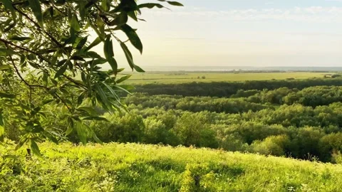 Summer landscape. Panoramic view of green meadows and river bed Stock Footage 220791582