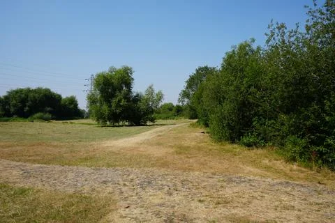 Summer Landscape With Path, Dry Grass, Green Trees, Power Lines In Farndon, Stock Photos
