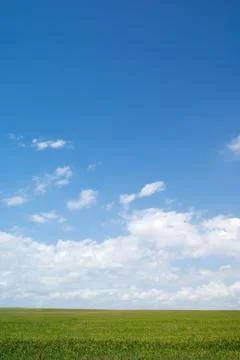 Summer landscape Stock Photos