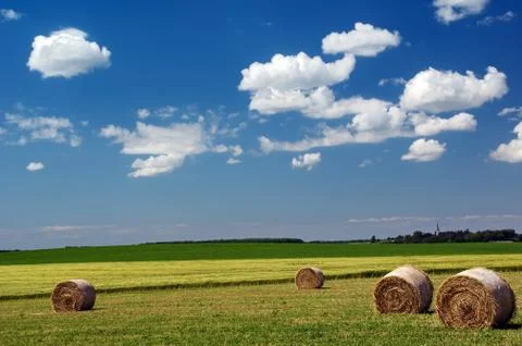 Summer landscape Stock Photos