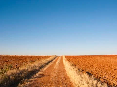 Summer landscape Stock Photos