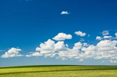 Summer landscape Stock Photos