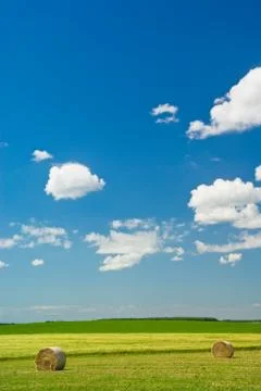 Summer landscape Stock Photos