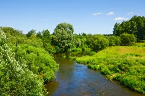 Summer landscape Stock Photos