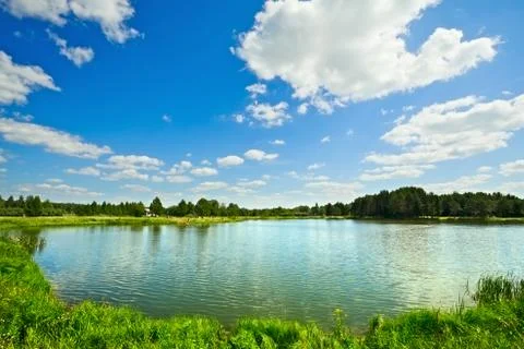 Summer landscape Stock Photos
