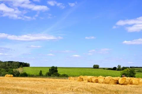 Summer landscape Stock Photos