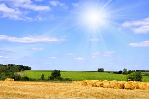 Summer landscape Stock Photos
