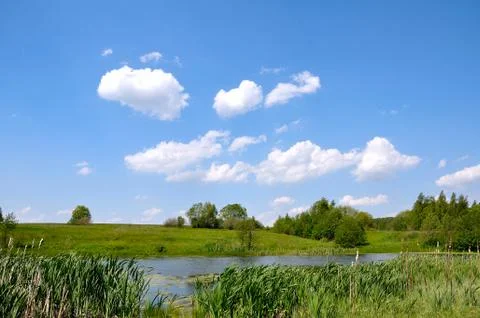Summer landscape Stock Photos