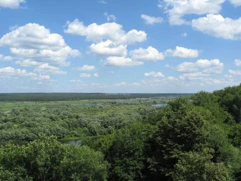 Summer landscape Stock Photos
