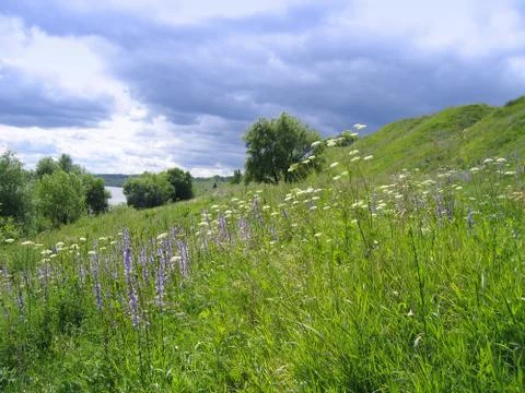 Summer landscape Stock Photos