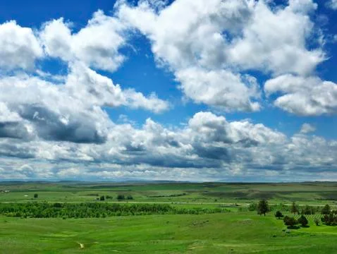 Summer landscape Stock Photos