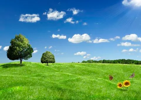 Summer landscape Stock Photos